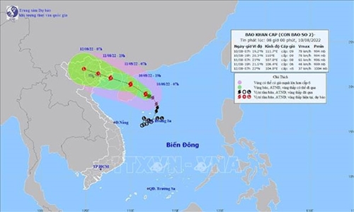 Ứng phó với bão số 2: Nam Định cấm biển từ 17 giờ 10-8