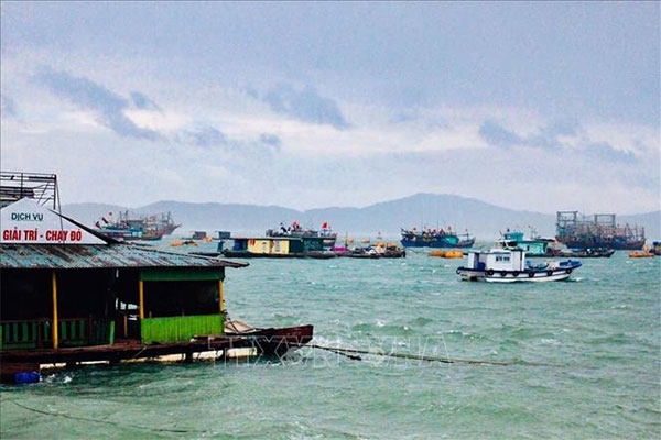 Ứng phó với bão số 2: Từ 12 giờ ngày 10-8, Quảng Ninh tạm dừng cấp phép các phương tiện thủy ra khơi