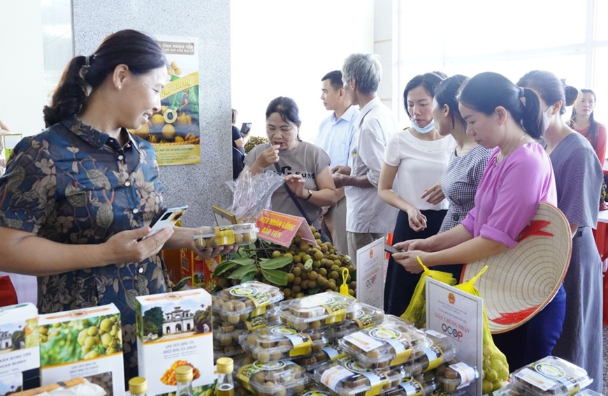 Đưa đặc sản nhãn Hưng Yên vươn xa