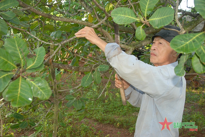 Kiên cường ý chí vươn lên