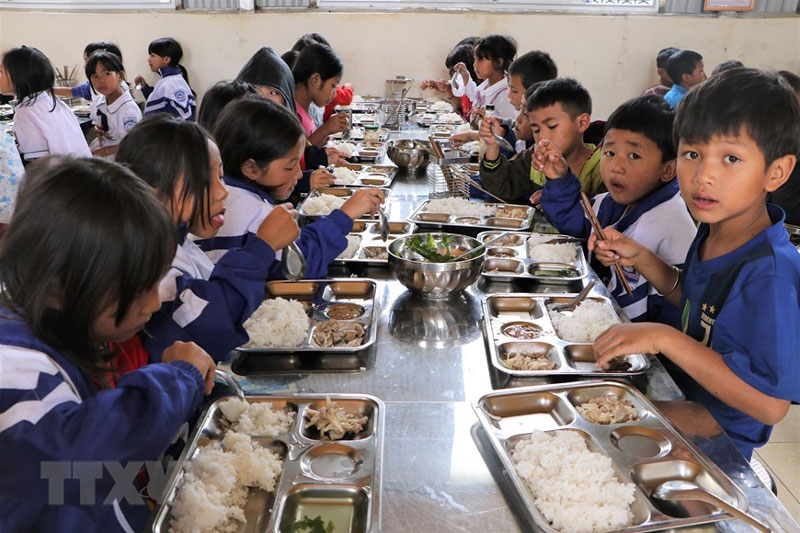 Rau trong cặp sách