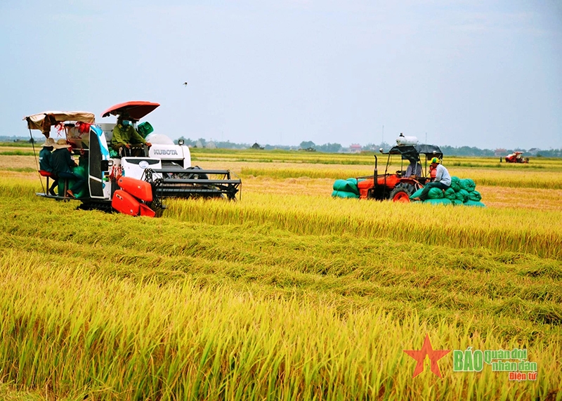 Ngày vui trên quê hương Đại tướng