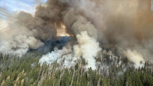 Mỹ: Hàng nghìn người phải sơ tán do cháy rừng ở bang California ​