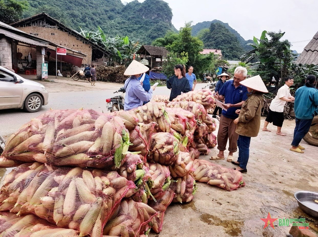 Giúp đồng bào nâng cao hiệu quả trong sản xuất nông nghiệp