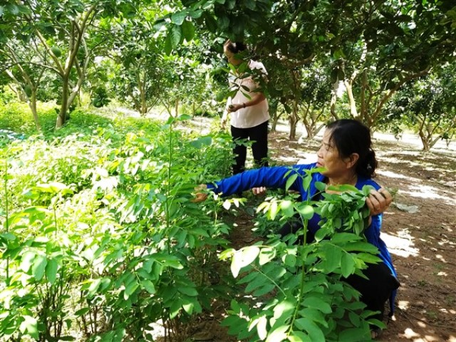 Đáp ứng ngày càng tốt hơn nhu cầu của các đối tượng chính sách
