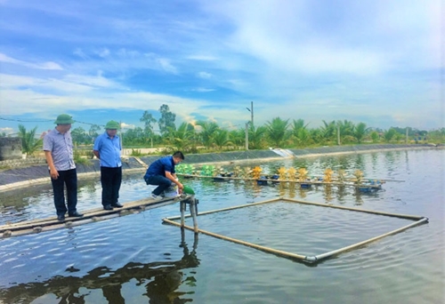 Nghệ An, Hà Tĩnh: Nuôi trồng thủy sản thích ứng với biến đổi khí hậu
