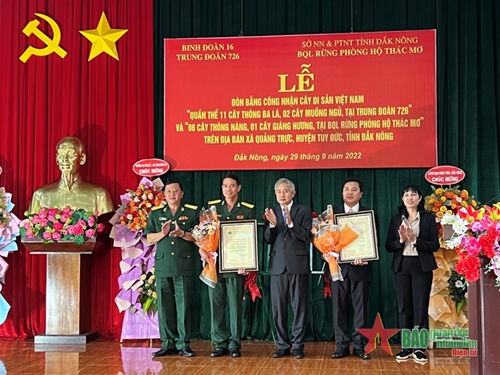 Trung đoàn 726 đón bằng công nhận cây di sản Việt Nam