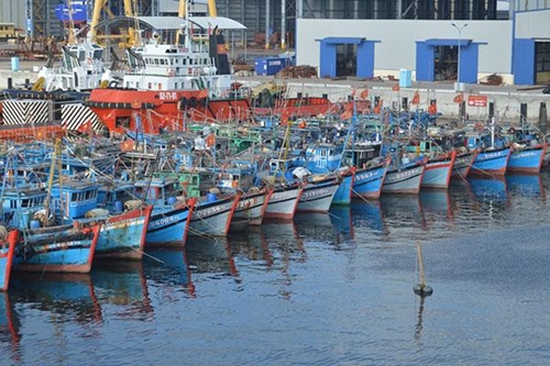 Thành lập Hội đồng thẩm định quy hoạch cảng cá, khu neo đậu tránh trú bão cho tàu cá