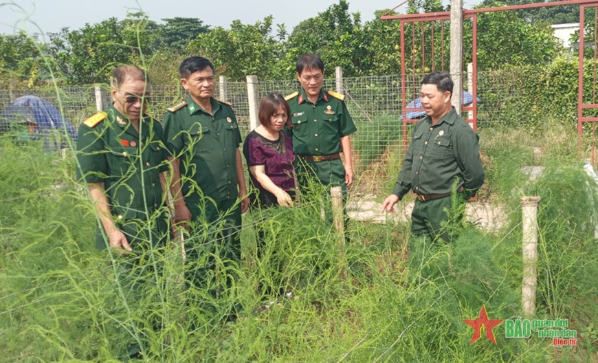 Cựu chiến binh Phạm Văn Tá (ngoài cùng, bên phải) trao đổi kinh nghiệm trồng măng tây với các cán bộ hội cựu chiến binh.
