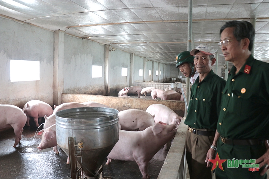 Cựu chiến binh Nguyễn Văn Tinh (đứng giữa) bên trang trại chăn nuôi của gia đình.