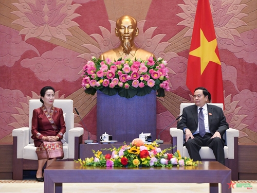 Quốc hội Việt Nam luôn quan tâm phát triển văn hóa-xã hội