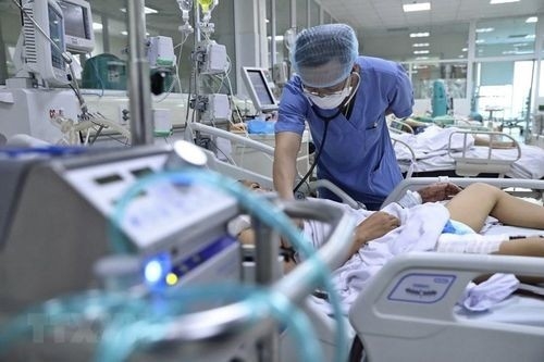 Bộ Y tế yêu cầu tăng cường công tác phòng, chống cúm gia cầm
