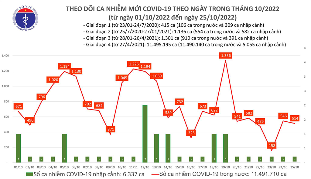 Việt Nam chưa thể công bố kết thúc đại dịch Covid-19