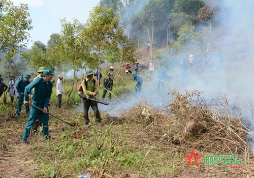 TP Điện Biên Phủ: Chủ động các phương án phòng, chống cháy rừng
