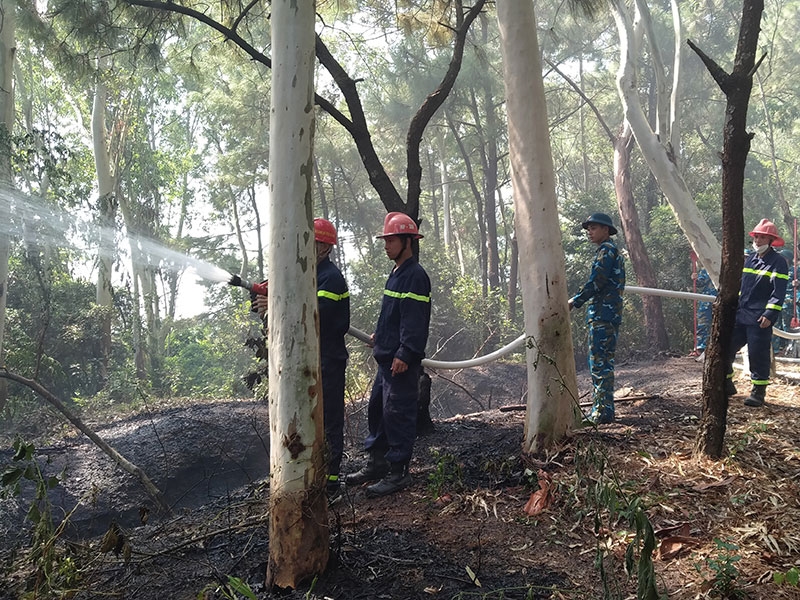 Trung đoàn 295 giúp dân chữa cháy rừng