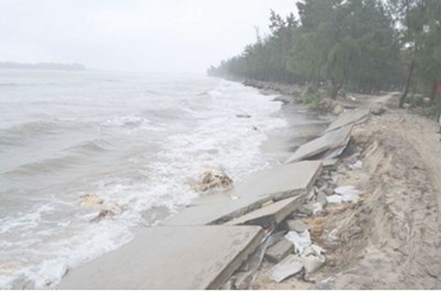 Quang NinhからBinh Thuanまで、暴風雨に積極的に対応