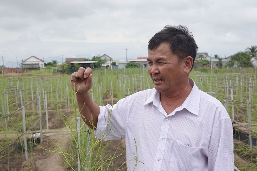 Người Chăm chăm chỉ làm giàu