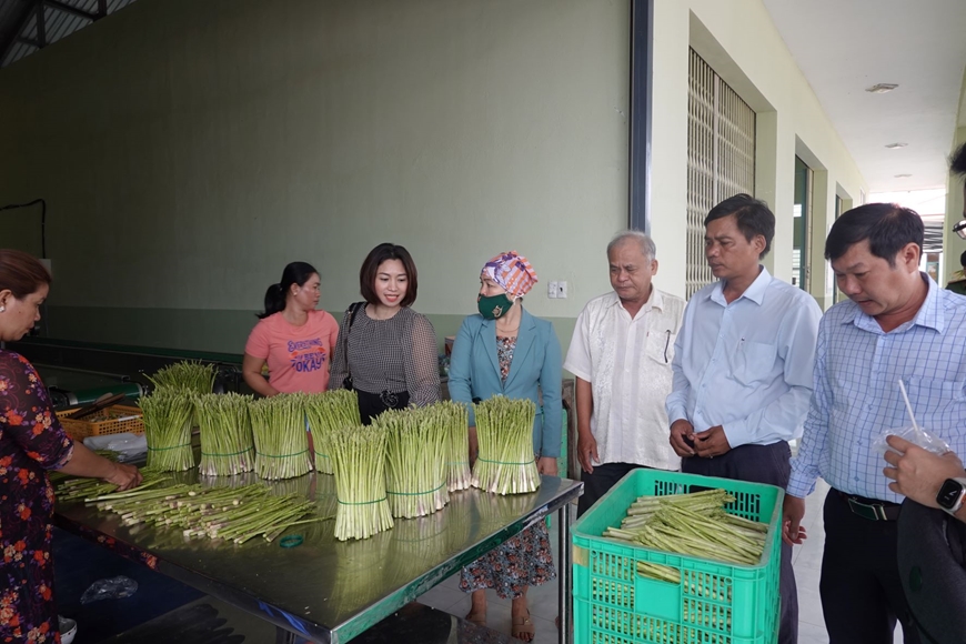 Người Chăm chăm chỉ làm giàu