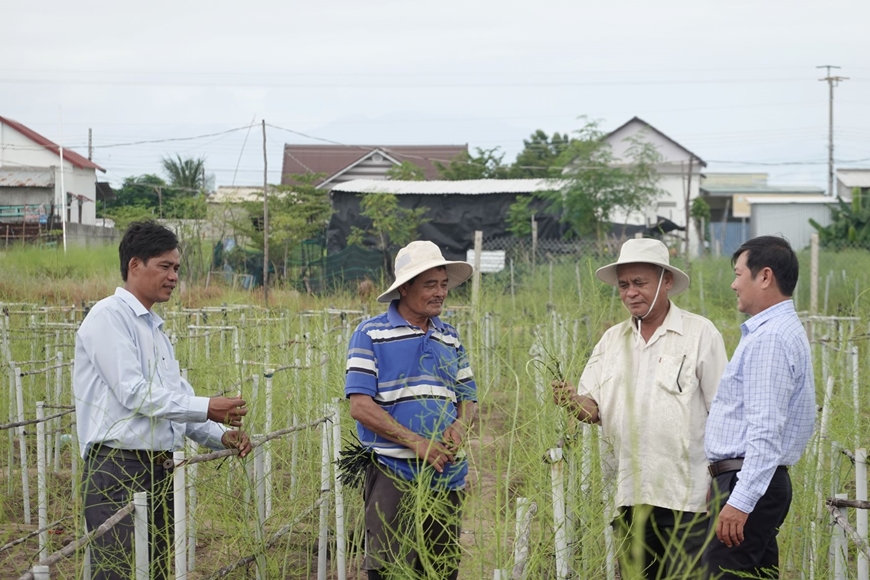 Người Chăm chăm chỉ làm giàu