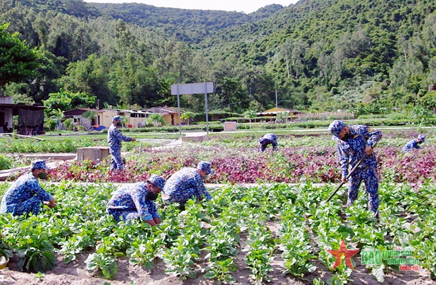 Nuôi quân giỏi, quản lý quân nhu tốt ở Lữ đoàn 161 Nuôi quân giỏi, quản lý quân nhu tốt ở Lữ đoàn 161