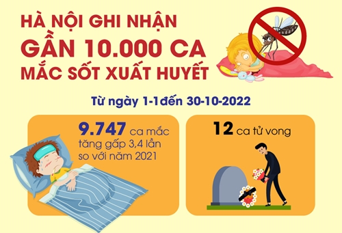 Từ đầu năm đến nay, Hà Nội ghi nhận gần 10.000 ca mắc sốt xuất huyết