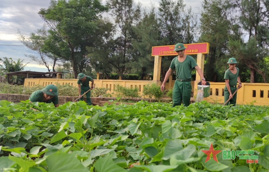 Rau xanh trên đảo anh hùng