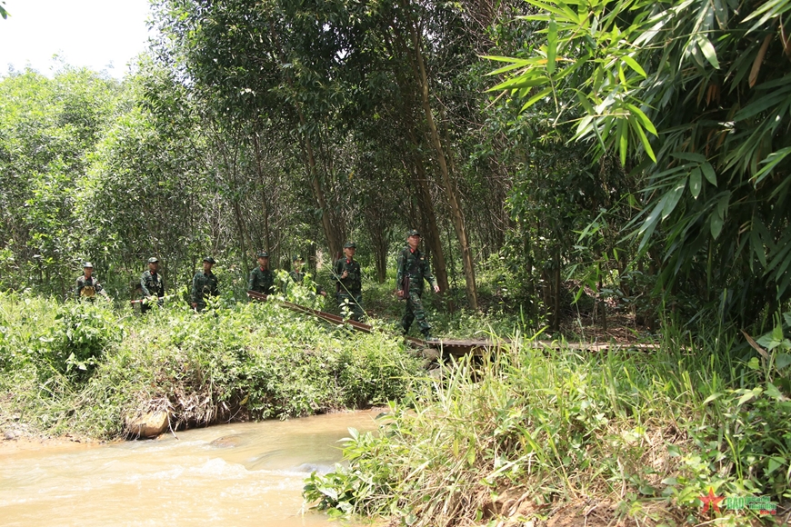 Những người lính “canh rừng”