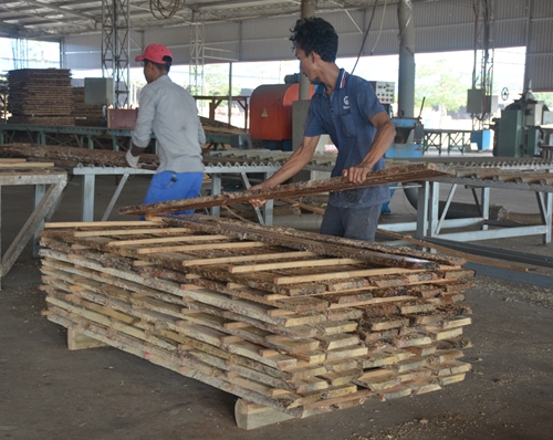 Vì sao ngành sản xuất đồ gỗ phải sử dụng nguyên liệu hợp pháp?