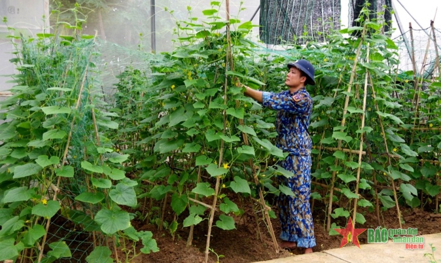 Thực túc binh cường ở Hải đội 202, Vùng Cảnh sát biển 2