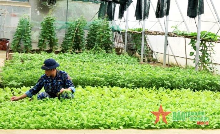 Thực túc binh cường ở Hải đội 202, Vùng Cảnh sát biển 2