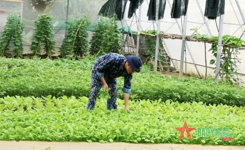 Thực túc binh cường ở Hải đội 202, Vùng Cảnh sát biển 2