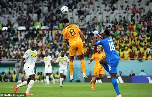 Bảng A, World Cup 2022: Hà Lan thắng nhọc nhằn Senegal