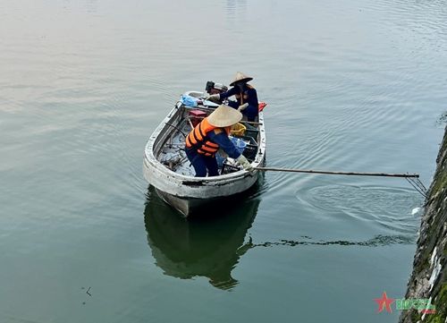 Hà Nội đánh bắt cá để giảm mật độ trong hồ Tây