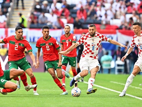 World Cup 2022: Mèo tiên tri Cass dự đoán chiến thắng thuộc về Croatia