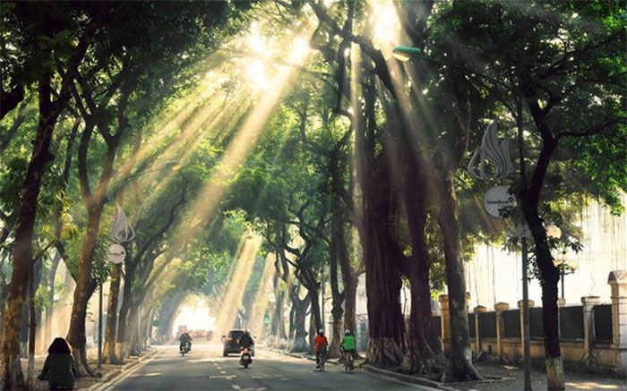 Phố cổ: Hãy bắt đầu cuộc hành trình khám phá đường phố cổ Hà Nội - một trong những nơi đáng đến nhất của thủ đô. Dọc theo đường phố, bạn sẽ được trải nghiệm những điều mới lạ, đánh thức các giác quan của bạn với âm thanh, mùi vị, hình ảnh và cảm giác thú vị.