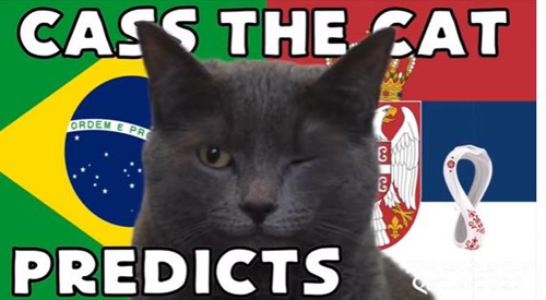 World Cup 2022: Mèo Cass dự đoán khó có bất ngờ giữa Brazil và Thụy Sĩ