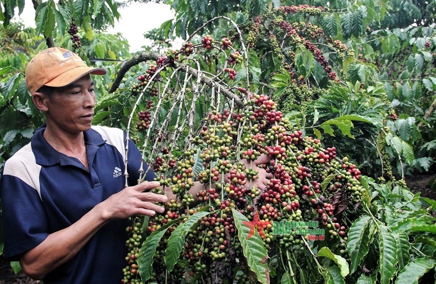 Không thả nổi lao động thời vụ