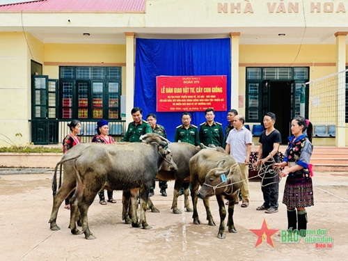 Đoàn Kinh tế - Quốc phòng 379 (Quân khu 2) bàn giao gần 250 gia súc giống hỗ trợ hộ nghèo