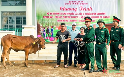 Công ty Bình Dương trao 33 con bò giống tặng người dân tỉnh Gia Lai