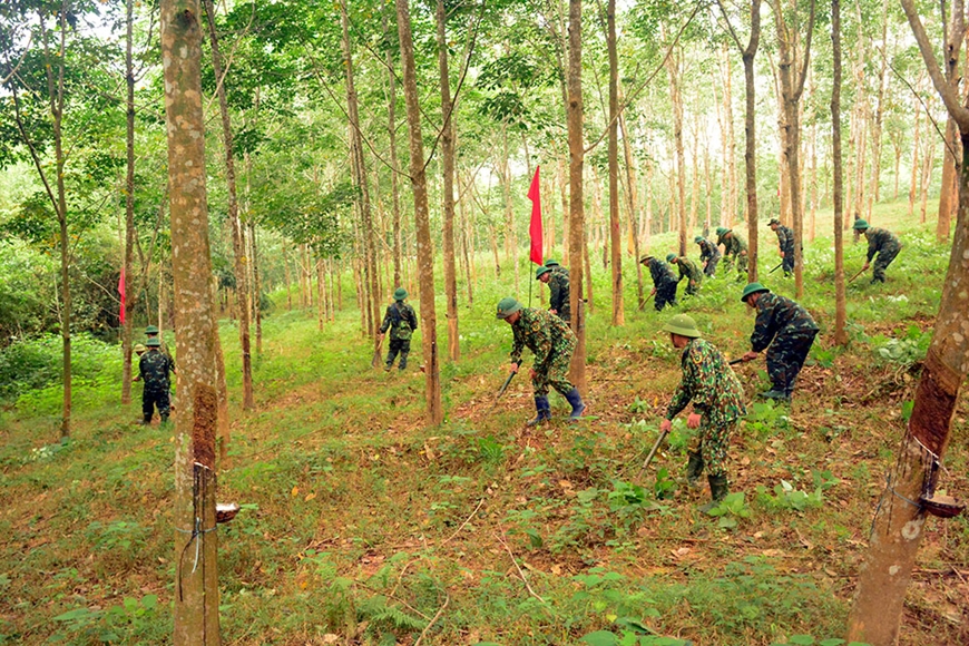 Hồi sinh vùng đất “túi bom”