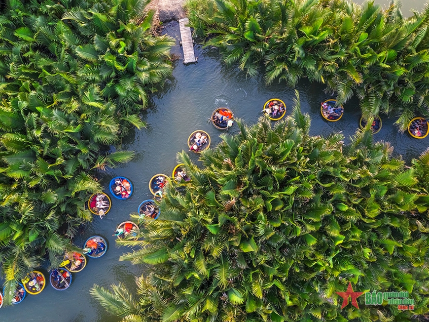 Rừng dừa Bảy Mẫu Quảng Nam: “Miền Tây giữa lòng phố Hội”