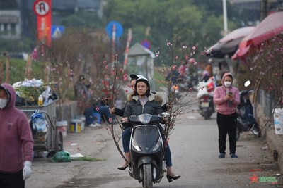 Hà Nội công bố 91 điểm chợ hoa xuân của Hà Nội phục vụ Tết Nguyên đán
