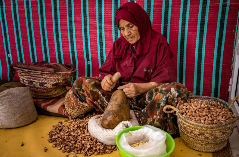 Nguy cơ mai một nghề sản xuất dầu argan thủ công ở Morocco