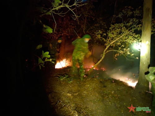 Trung đoàn 165, Sư đoàn 312 (Quân đoàn 1): Trắng đêm “đánh giặc lửa”, cứu rừng