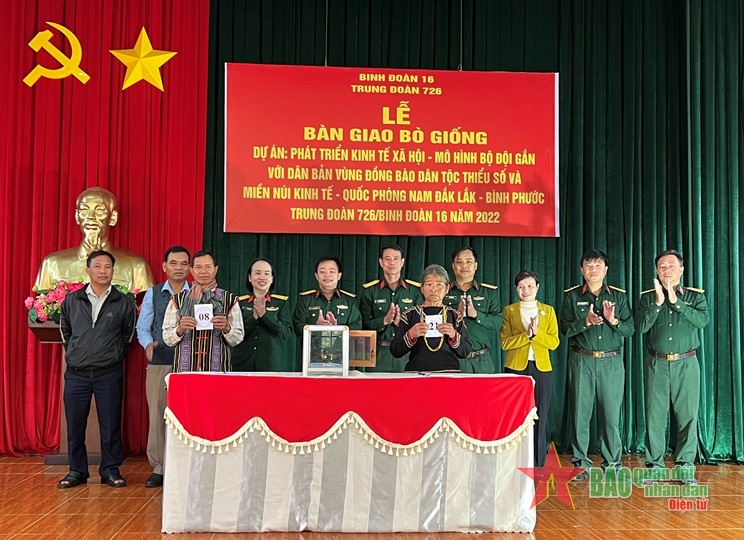 Trung đoàn 726: Bàn giao 50 con bò giống hỗ trợ người dân