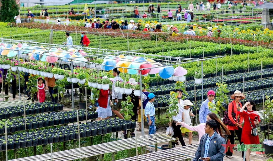 Ngập tràn sắc Xuân ở làng hoa Sa Đéc