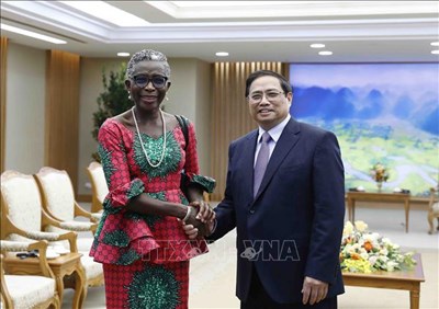 ファム・ミン・チン首相が国際通貨基金の副専務理事を迎える