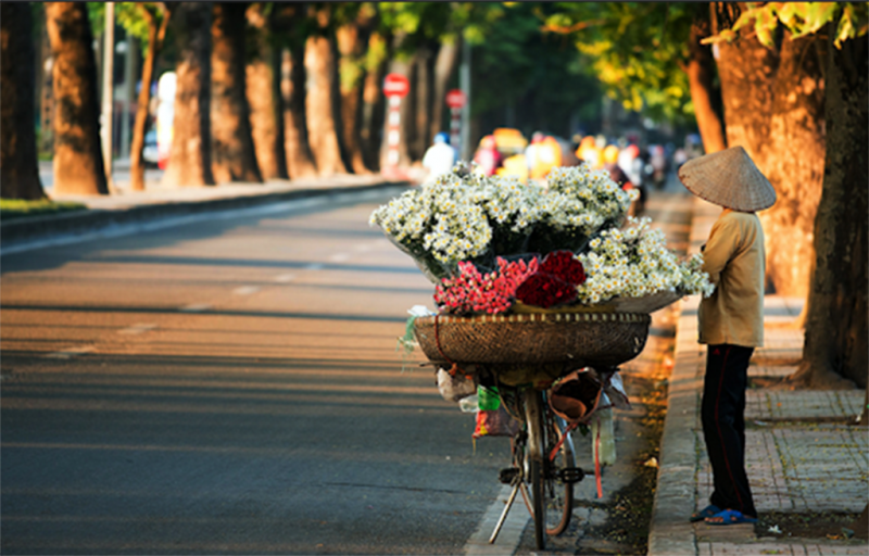 Thời tiết ngày 13-1: Miền Bắc hửng nắng, Tây và Đông Bắc Bộ có mưa