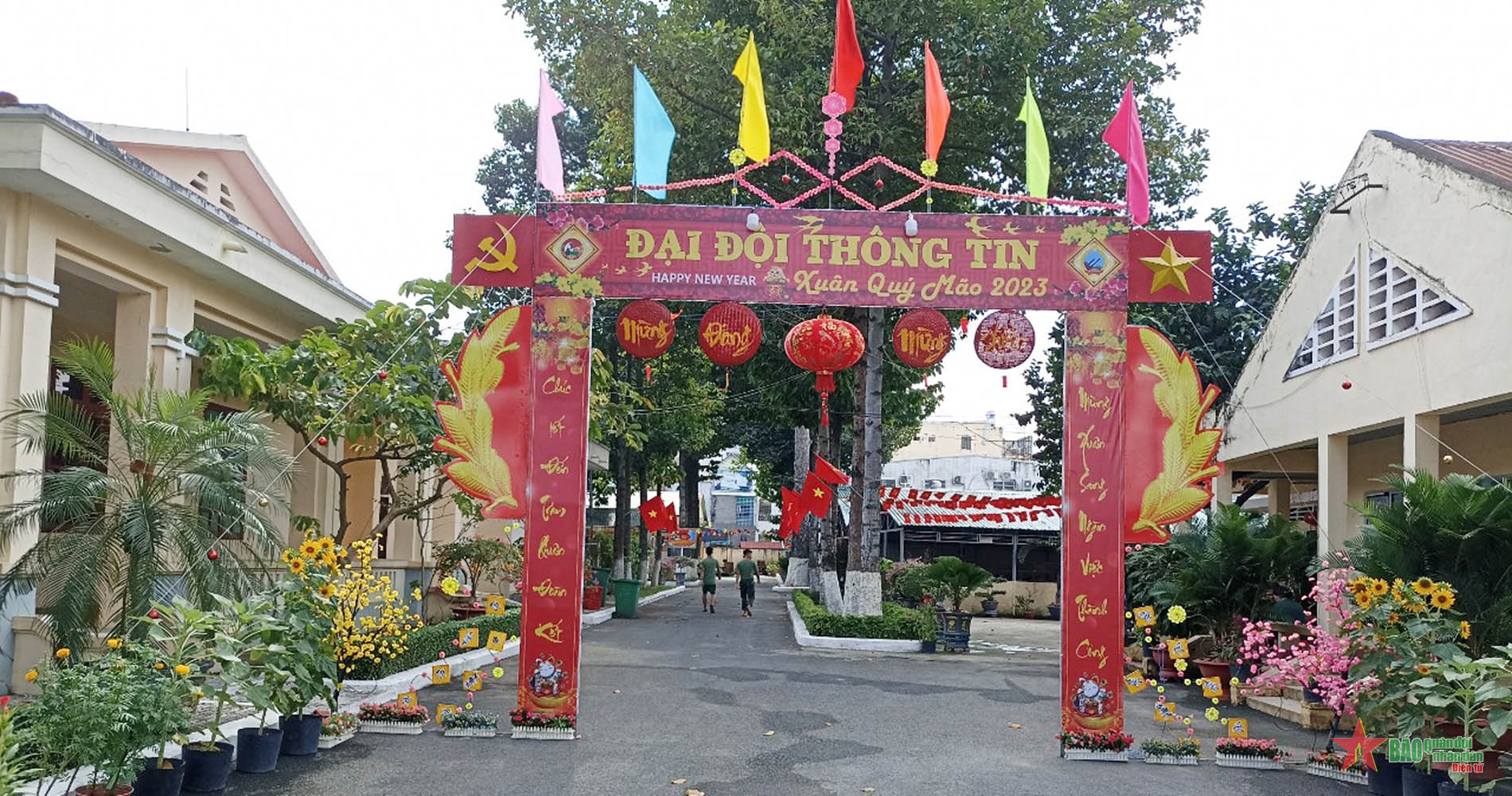 Rực rỡ sắc hoa Xuân ở Lữ đoàn Phòng không 77