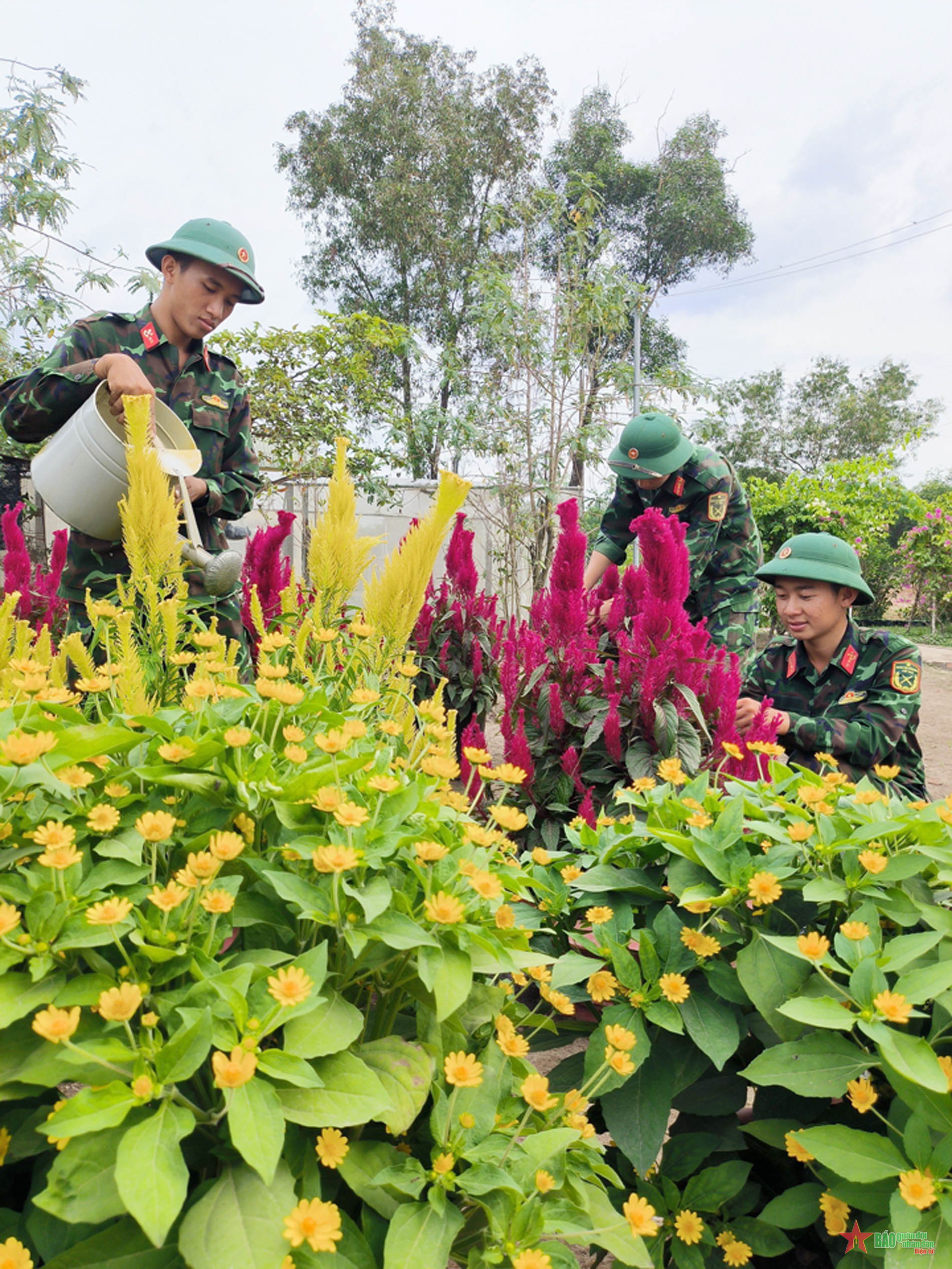 Đường hoa Xuân Sư đoàn 9